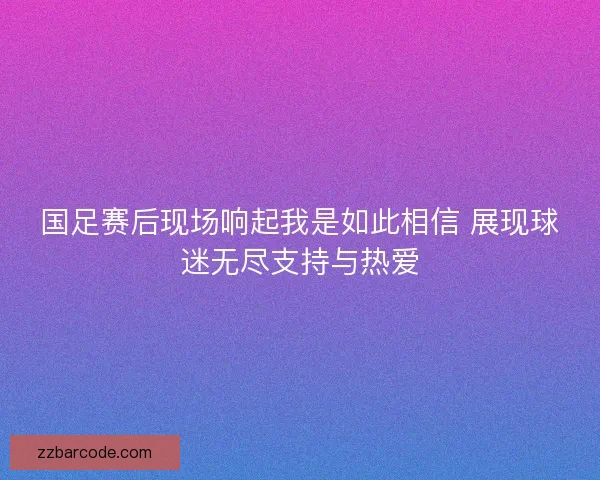 国足赛后现场响起我是如此相信 展现球迷无尽支持与热爱